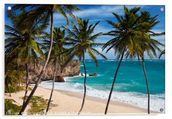 Barbados Beach Acrylic by Brian Jannsen