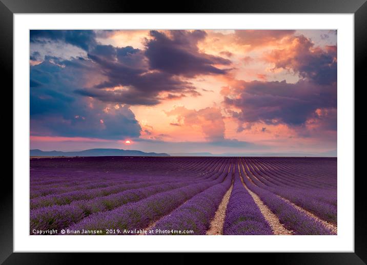Lavender Field at Sunset II Framed Mounted Print by Brian Jannsen