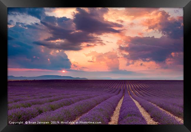 Lavender Field at Sunset II Framed Print by Brian Jannsen