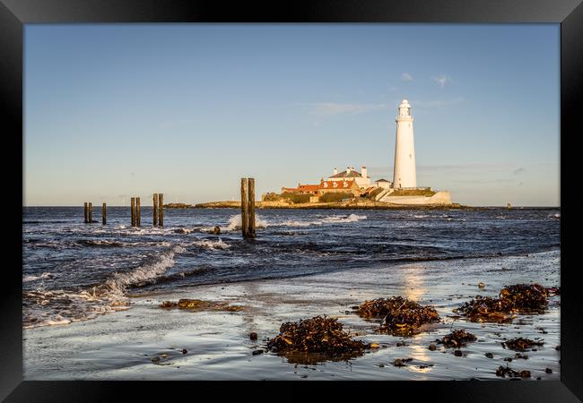 St. Mary's and the old jetty posts Framed Print by Naylor's Photography