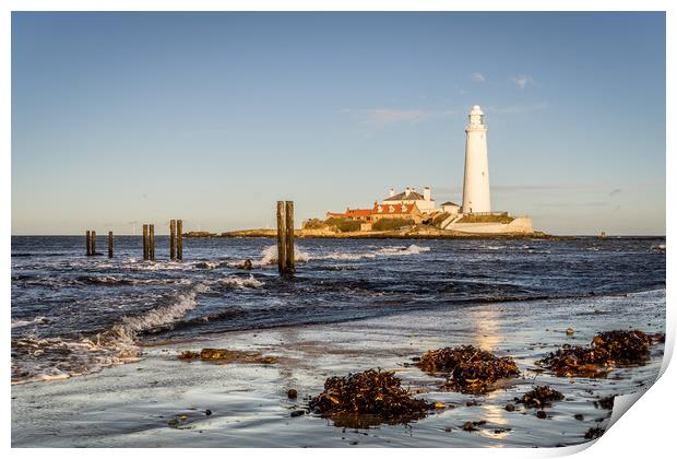 St. Mary's and the old jetty posts Print by Naylor's Photography