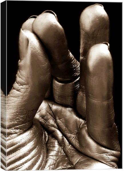 Silver fingers Canvas Print by Larisa Siverina