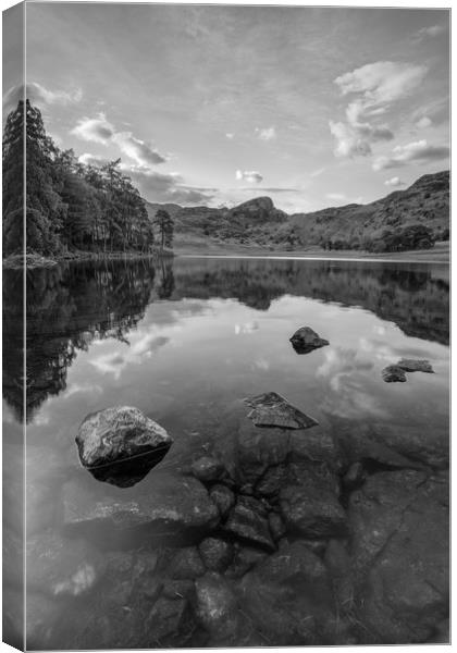 Blea Tarn Reflections Canvas Print by Jed Pearson