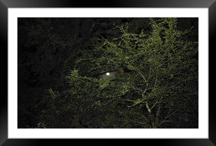 The full moon peaking out Framed Mounted Print by Kathleen Wells - Stalla