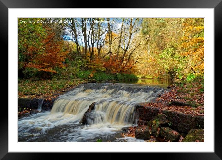 Autumn Flow Framed Mounted Print by David Birchall