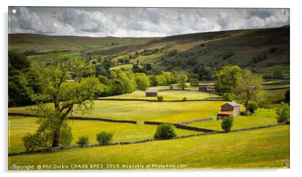 Muker - Swaledale North Yorkshire Acrylic by Phil Durkin DPAGB BPE4