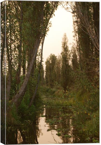 Mexican water district of Xochimilco.  Canvas Print by Larisa Siverina