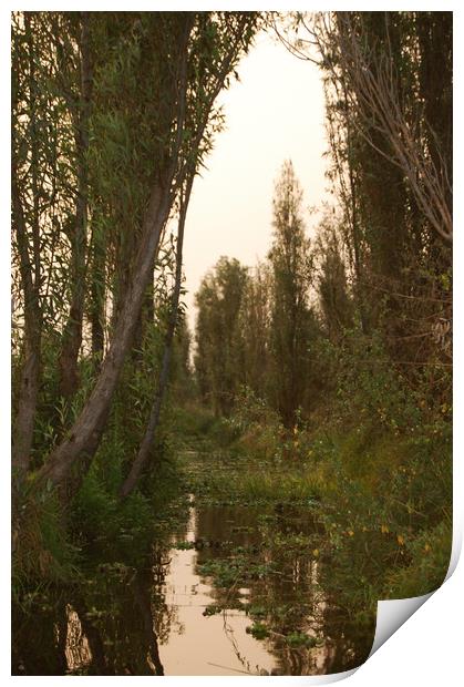 Mexican water district of Xochimilco.  Print by Larisa Siverina