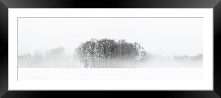 Winter Wonderland  Framed Mounted Print by Mike C.S.