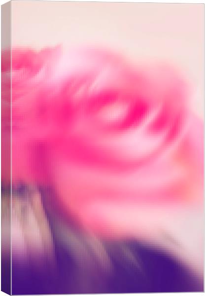 Abstract pink rose  Canvas Print by Larisa Siverina