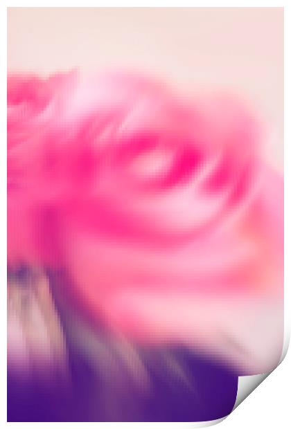 Abstract pink rose  Print by Larisa Siverina