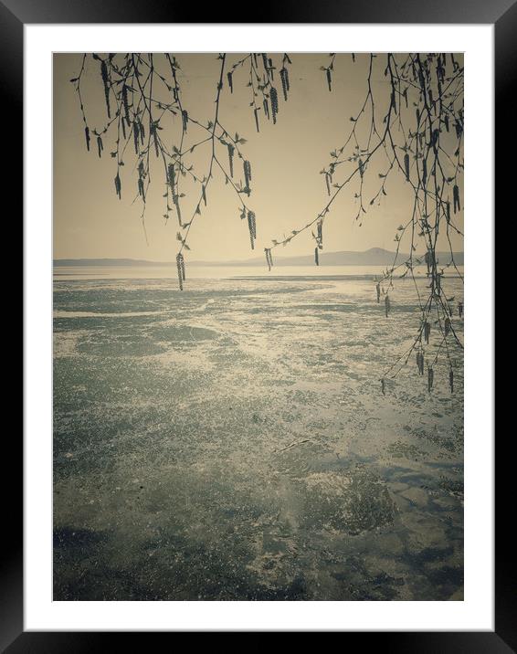 Spring landscape with ice drift on the lake.   Framed Mounted Print by Larisa Siverina