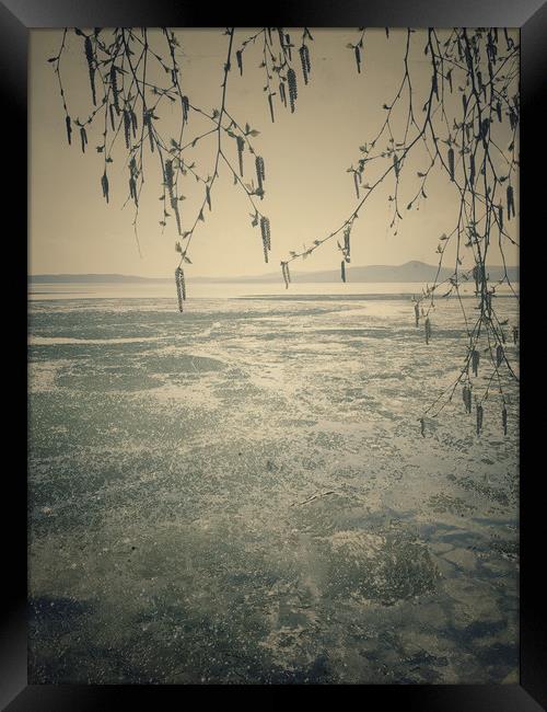 Spring landscape with ice drift on the lake.   Framed Print by Larisa Siverina