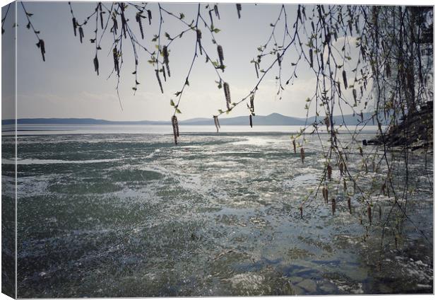 Spring landscape with ice drift on the lake.   Canvas Print by Larisa Siverina