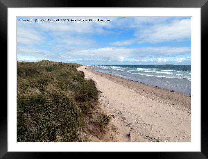 Sand Dunes between Seahouses and Bamburgh.  Framed Mounted Print by Lilian Marshall