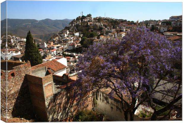 Panorama of the city Taxco Canvas Print by Larisa Siverina