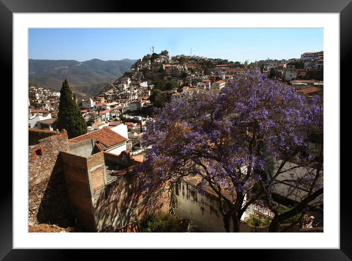 Panorama of the city Taxco Framed Mounted Print by Larisa Siverina