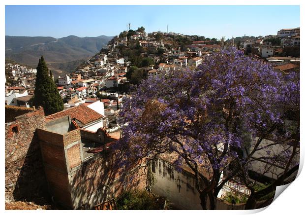 Panorama of the city Taxco Print by Larisa Siverina