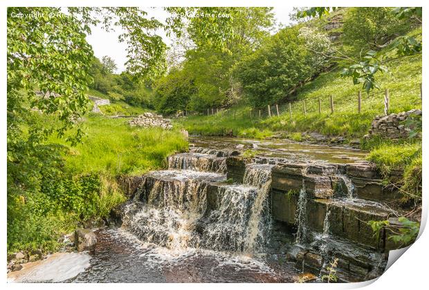 Summer at Ettersgill Beck, Teesdale Print by Richard Laidler