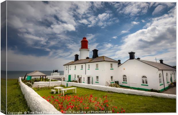 Poppies at Souter Lighthouse Canvas Print by Tyne Tees Photography