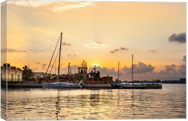 View of the Port of Galle at sunset. Canvas Print by RUBEN RAMOS