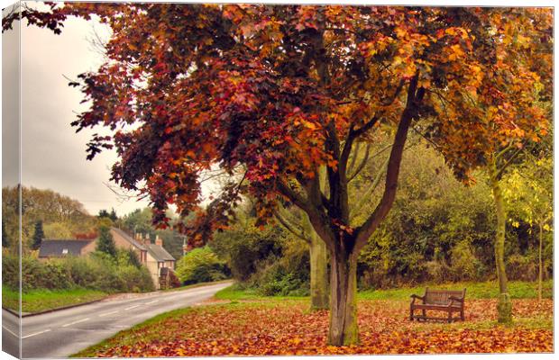 Beautiful autumn morning Canvas Print by scott innes