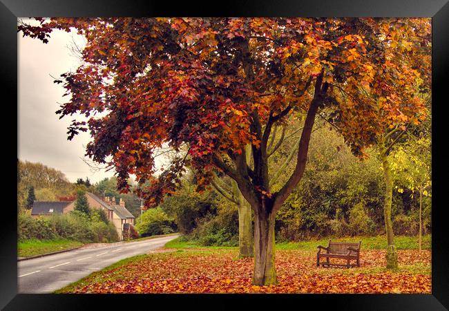 Beautiful autumn morning Framed Print by scott innes