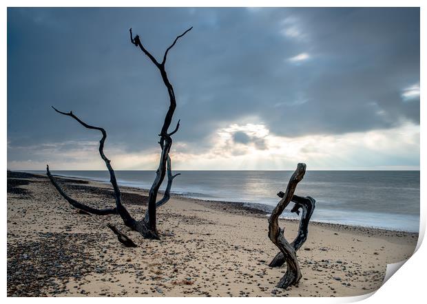 Covehithe Beach at sunrise Print by Robbie Spencer