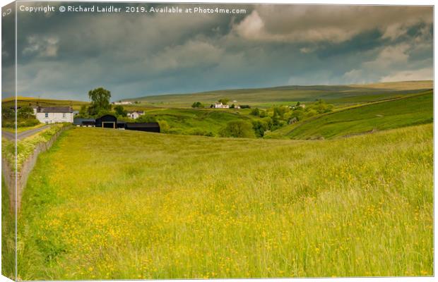 Ettersgill Farms and Hay Meadows, Teesdale Canvas Print by Richard Laidler
