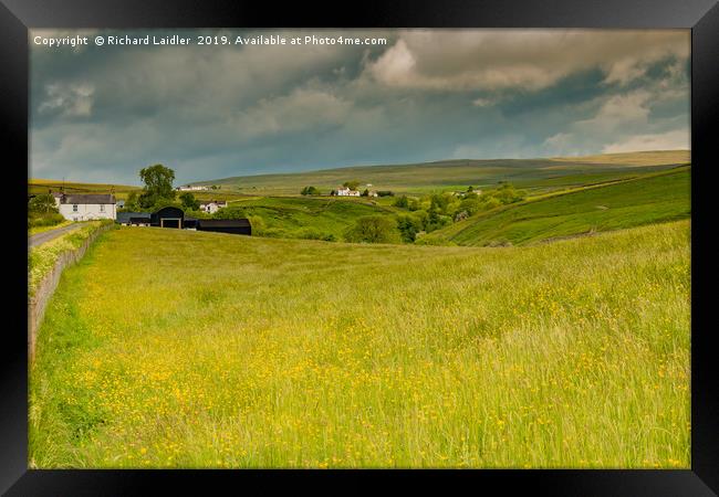 Ettersgill Farms and Hay Meadows, Teesdale Framed Print by Richard Laidler