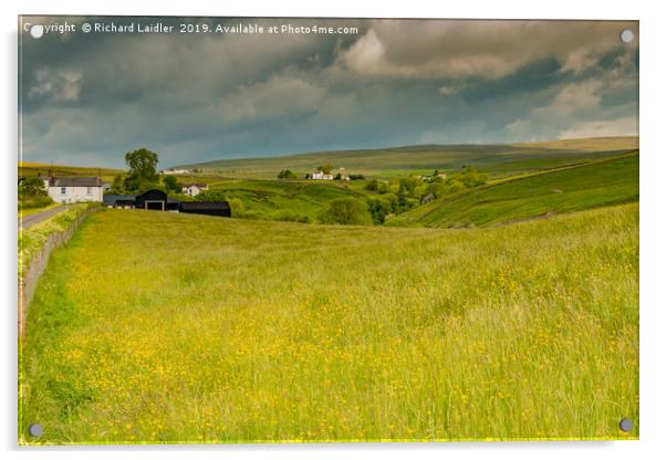 Ettersgill Farms and Hay Meadows, Teesdale Acrylic by Richard Laidler