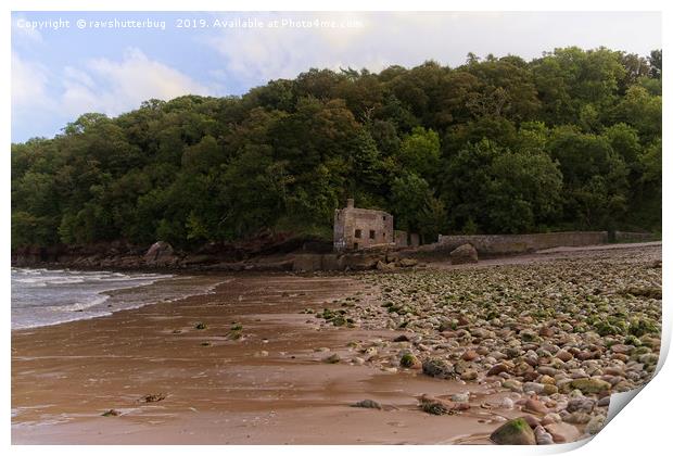 Elberry Cove  Print by rawshutterbug 