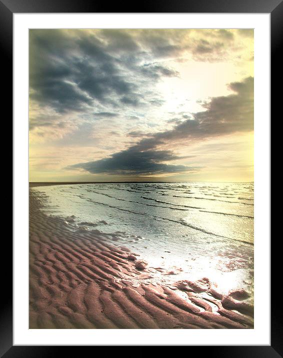 Desolate Beach Framed Mounted Print by Darrin miller