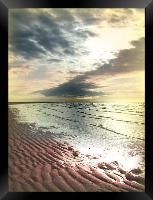 Desolate Beach Framed Print by Darrin miller