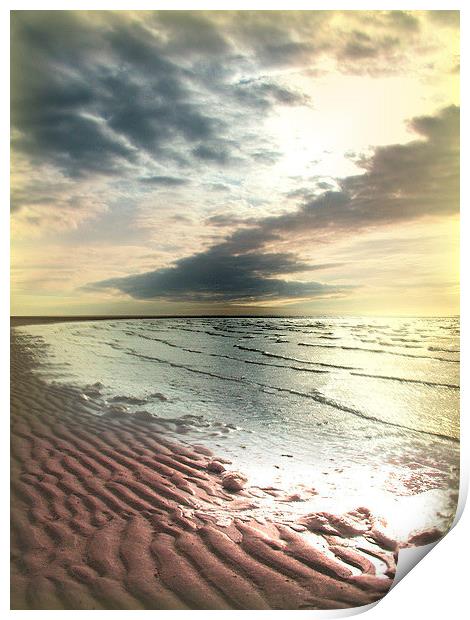 Desolate Beach Print by Darrin miller