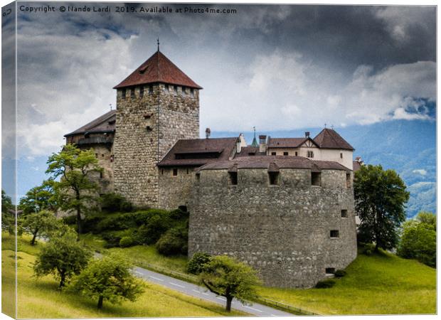 Vaduz Castle Canvas Print by DiFigiano Photography