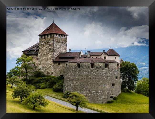 Vaduz Castle Framed Print by DiFigiano Photography