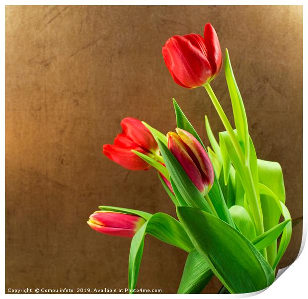 red tulips Print by Chris Willemsen