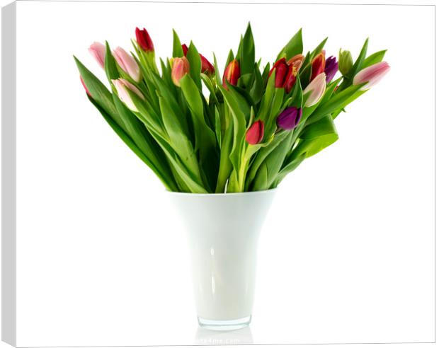 bouquet of tulips in white vase Canvas Print by Chris Willemsen