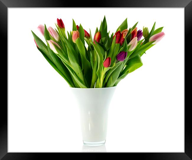 bouquet of tulips in white vase Framed Print by Chris Willemsen