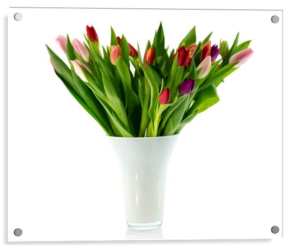 bouquet of tulips in white vase Acrylic by Chris Willemsen