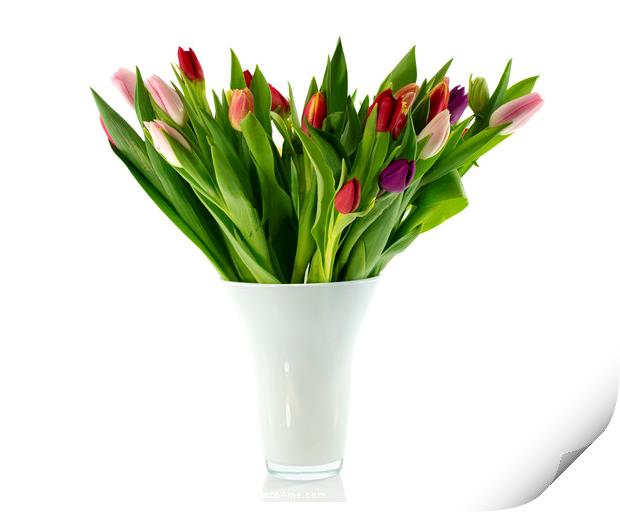 bouquet of tulips in white vase Print by Chris Willemsen