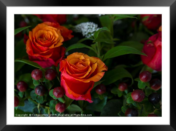 red roses Framed Mounted Print by Chris Willemsen