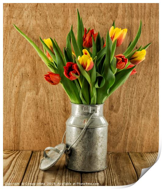 red and yellow tulips on wood Print by Chris Willemsen