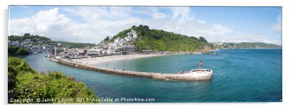 Looe Estuary Panoramic View Acrylic by James Lavott