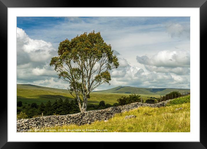 A Eucalyptus Tree in the Brecon Beacons Wales Framed Mounted Print by Nick Jenkins