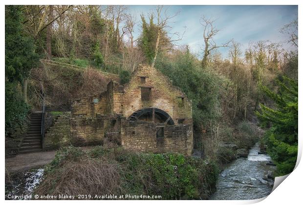 Enchanting Ruins of Jesmond Dene Watermill Print by andrew blakey