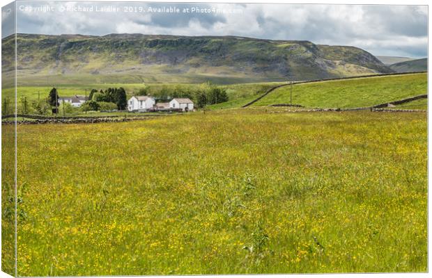 Hay Meadow in Flower at Langdon Beck, Teesdale (1) Canvas Print by Richard Laidler