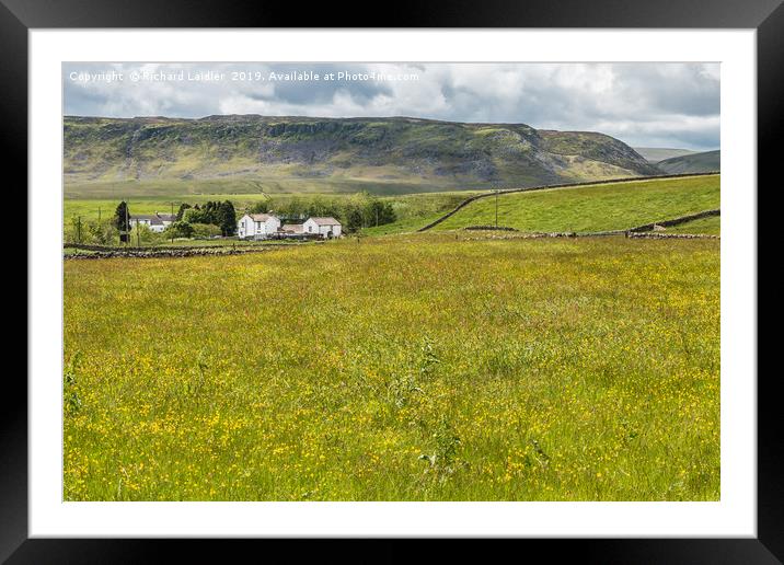 Hay Meadow in Flower at Langdon Beck, Teesdale (1) Framed Mounted Print by Richard Laidler