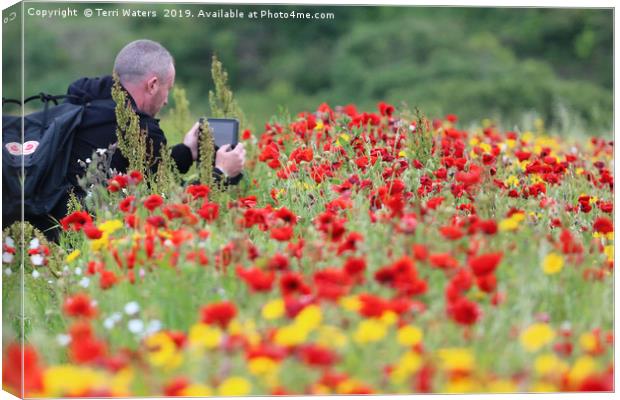 Man in the Poppies Canvas Print by Terri Waters